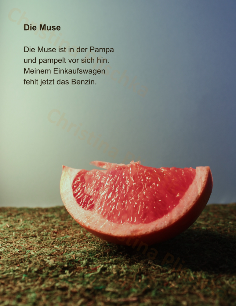 Lyrik von Christina Plischka auf einer Fotografie. Das Gedicht trägt den Titel Die Muse. "Die Muse. Die Muse ist in der Pampa und pampelt vor sich hin. Meinem Einkaufswagen fehlt jetzt das Benzin." Die Fotografie zeigt ein Stück Pampelmuse mit frischem Fruchtfleisch, das auf ausgedörrtem Gras liegt. Im Hintergrund zeichnet sich ein blau-grauer, wolkenloser Himmel ab. Das Gedicht befindet sich oben links im Bild.